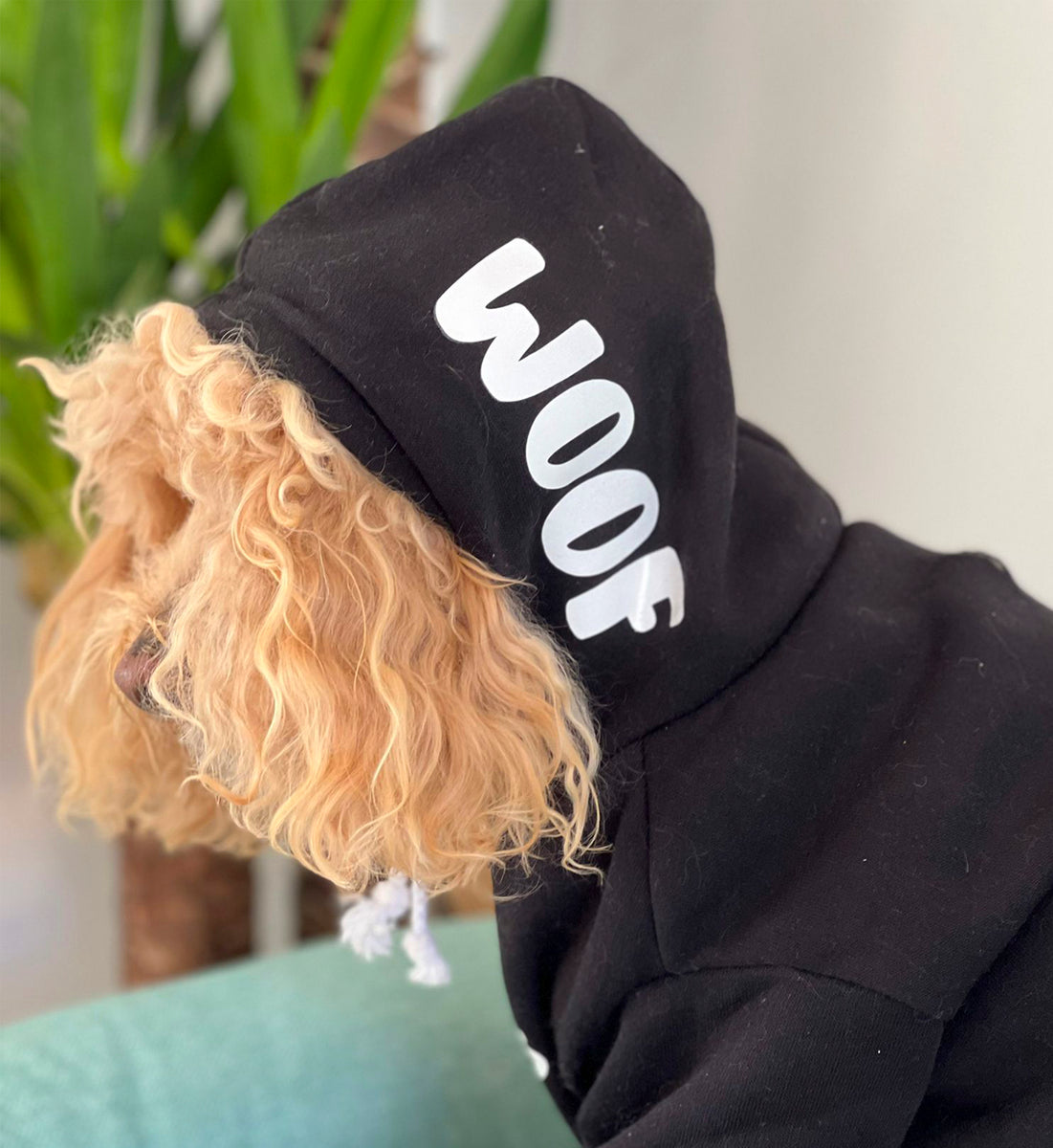 Pawsonalised Woof Hoodie Apparel PicklesandPals