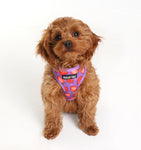 Berry Delicious Harness