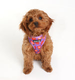 Berry Delicious Harness