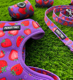 Berry Delicious Bundle