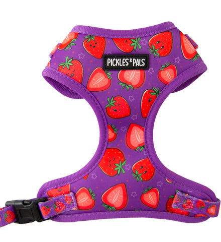 Berry Delicious Harness