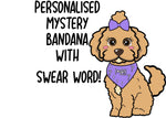Naughty Mystery Bandana