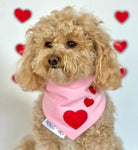 Puppy Love  Bandana (Pink)